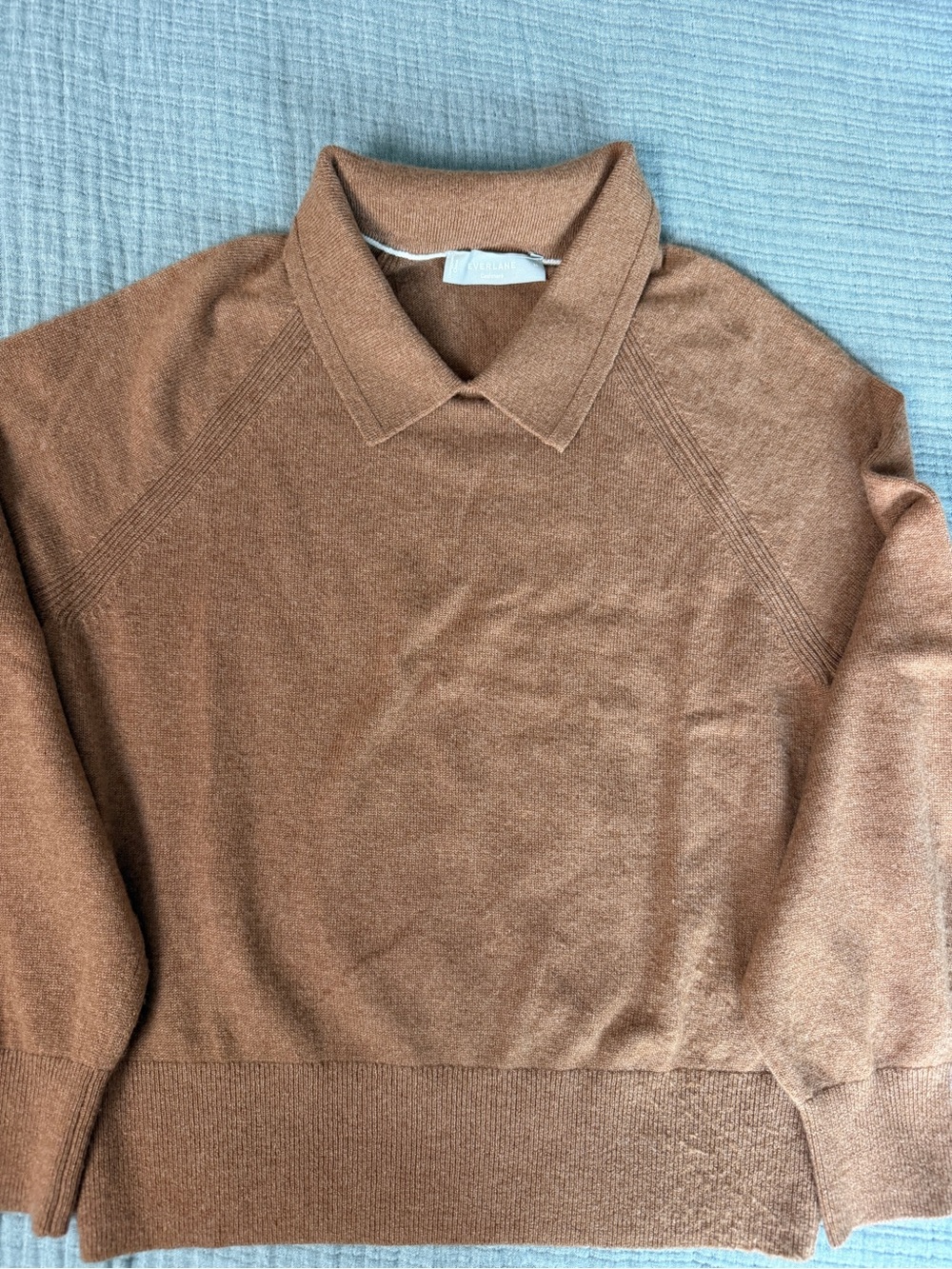 Everlane Cashmere Collared Crewneck Sweater in Warm Brown